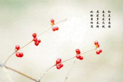 愿君多采撷，此物最相思...................