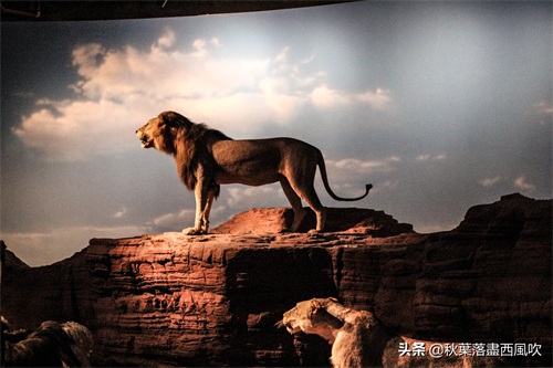 重庆自然博物馆：寓教于乐的亲子一日游好去处。免费还有恐龙看