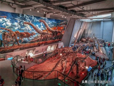 ​重庆自然博物馆：寓教于乐的亲子一日游好去处。免费还有恐龙看