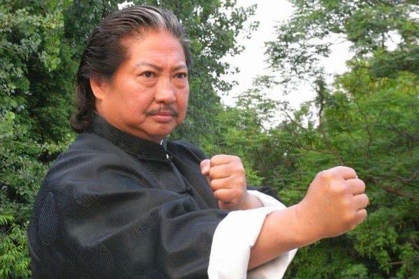 娱乐洪金宝老婆高丽虹个人资料 令洪金宝这样死心塌地  3