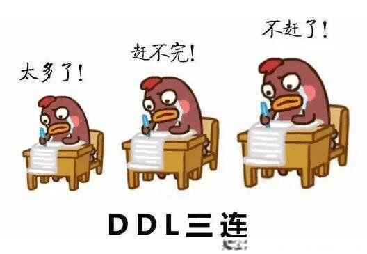 女生对你说cpdd是什么意思 找男生组CP的信号暗示