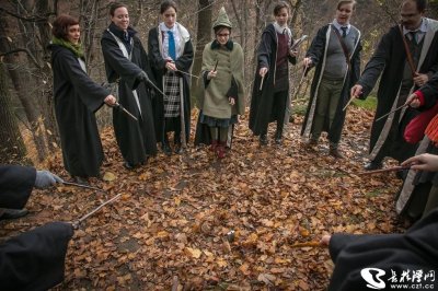 ​波兰魔法学院正式开放入学!入学条件大曝光你满足了吗?