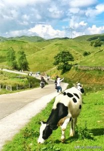 ​湖南南山国家公园