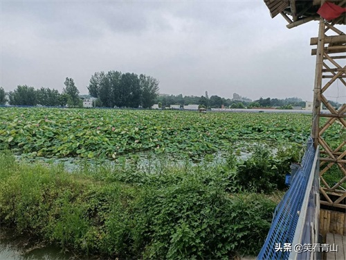 巨野金山旅游新去处
