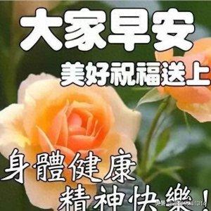 ​非常漂亮的鲜花表情包图片带字，早安问候语暖心问候语图片。