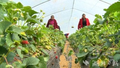 ​广水：这里的直播间带着泥土香