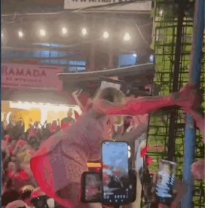 简直不要太精彩了!近日,泰国曼谷上演了一场人妖大战