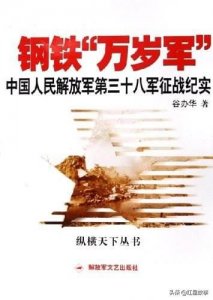 第82集团军的历史沿革