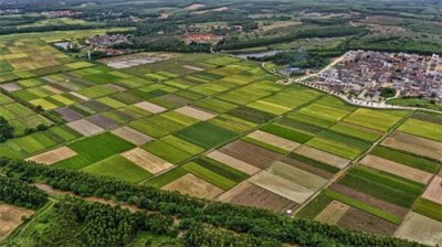 ​生态农业：守护绿水青山，农业革命的崭新征程