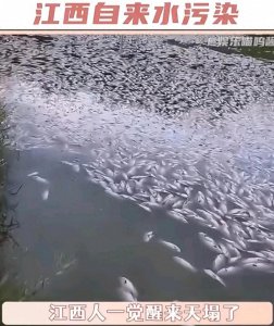 ​江西自来水污染事件：警钟长鸣，共筑饮水安全防线