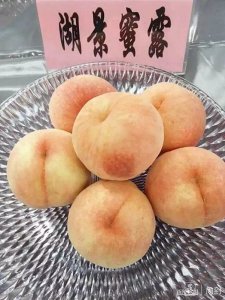 ​魔都最好吃的品牌“南汇水蜜桃”今年上市仨品种，湖景蜜露7月5日先开吃